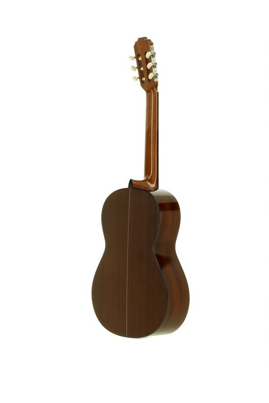 Guitarra clásica José Torres JTC20 - Imagen 3